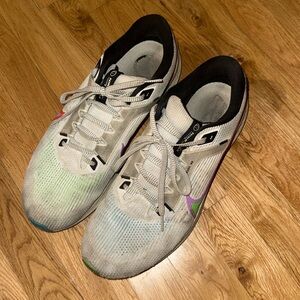 Nike Pegasus 11 — beaters